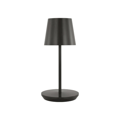 Nevis LED Table Lamp in Bronze (Small).