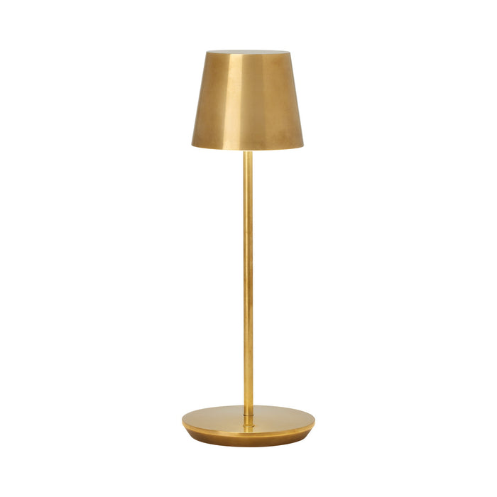Nevis LED Table Lamp in Natural Brass.