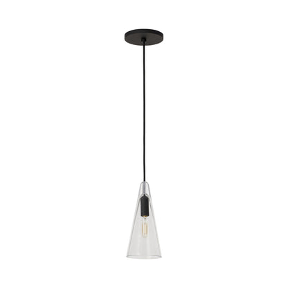 Selina Pendant Light in Nightshade Black.