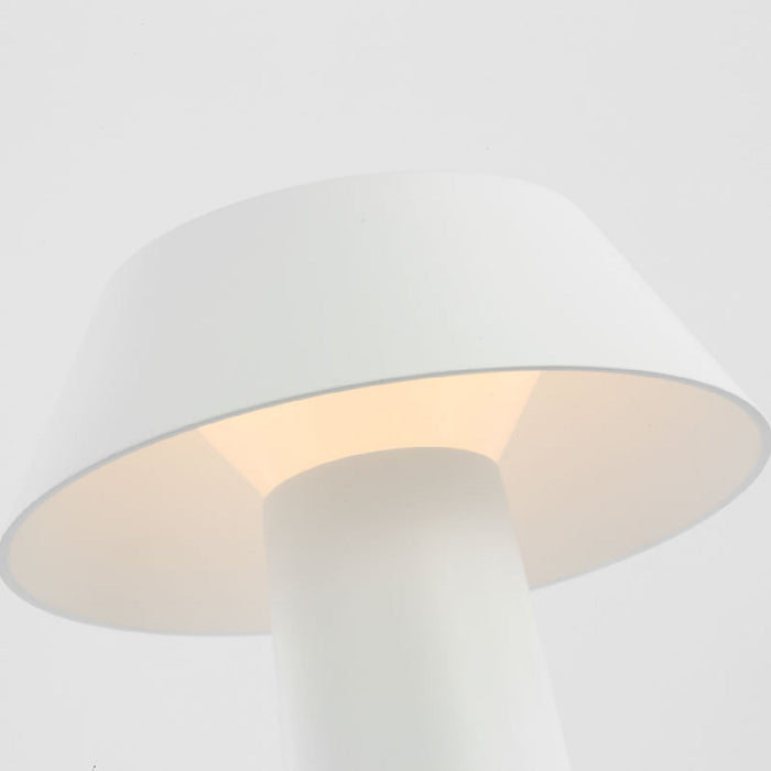 Sesa LED Table Lamp in Detail.