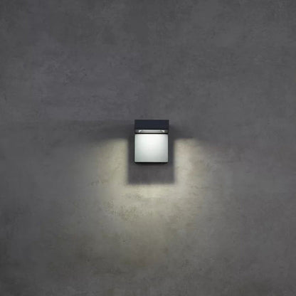 Taag Outdoor LED Wall Light in Detail.