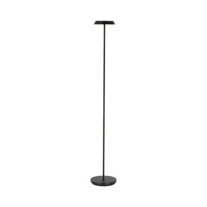 Tepa LED Floor Lamp in Black.