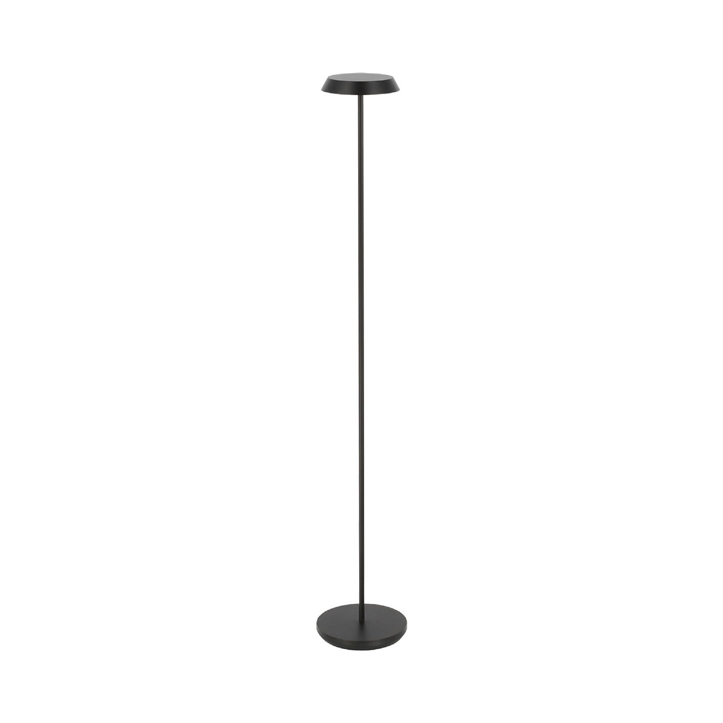 Tepa LED Floor Lamp.