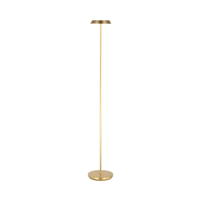 Tepa LED Floor Lamp in Hand Rubbed Antique Brass.