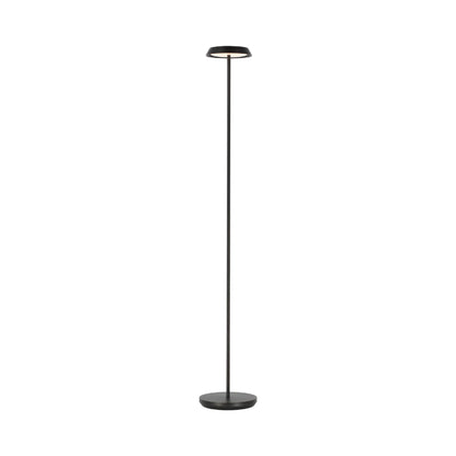 Tepa LED Floor Lamp in Detail.