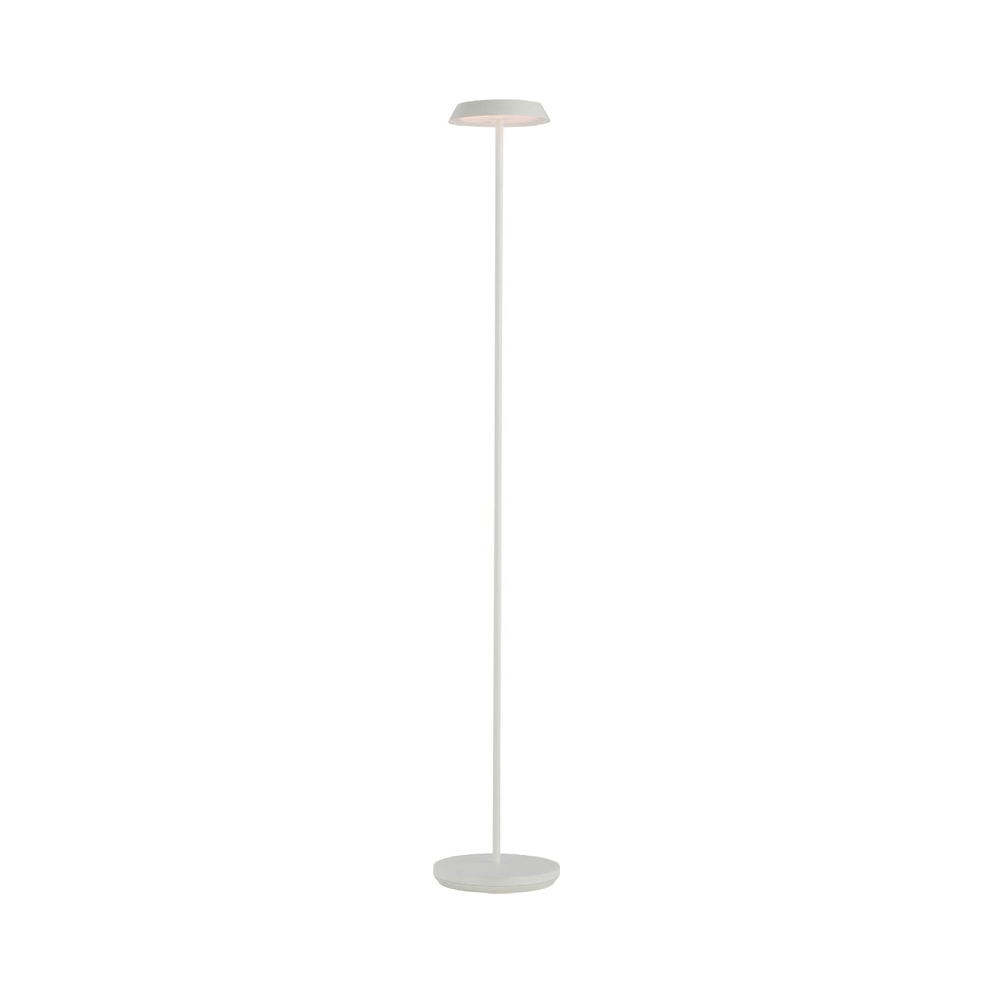 Tepa LED Floor Lamp in Detail.