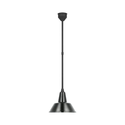 Academy Bowers Outdoor Pendant Light in Matte Black/Green (12.5-Inch).