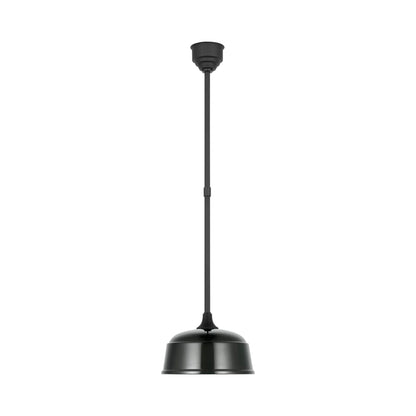 Academy Rockhouse Outdoor Pendant Light in Matte Black/Green (12.5-Inch).