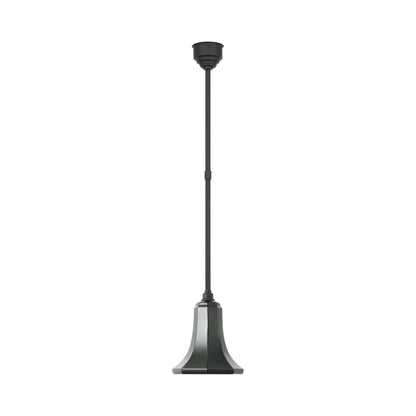 Academy Savannah Outdoor Pendant Light in Matte Black/Green (9.25-Inch).