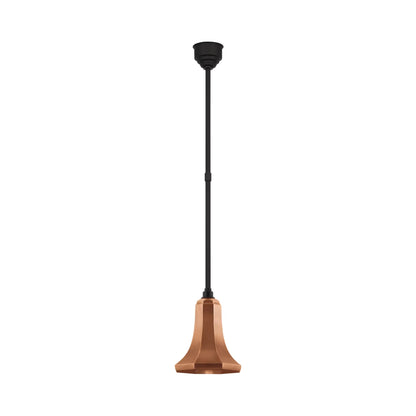 Academy Savannah Outdoor Pendant Light in Matte Black/Soft Copper (9.25-Inch).