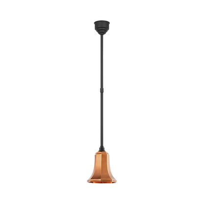 Academy Savannah Outdoor Pendant Light in Detail.