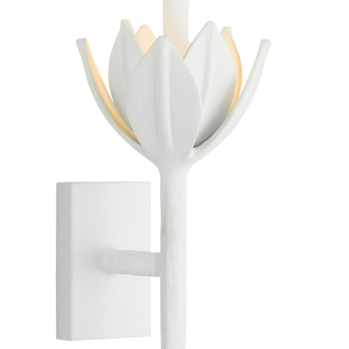 Alberto LED Wall Light in Detail.