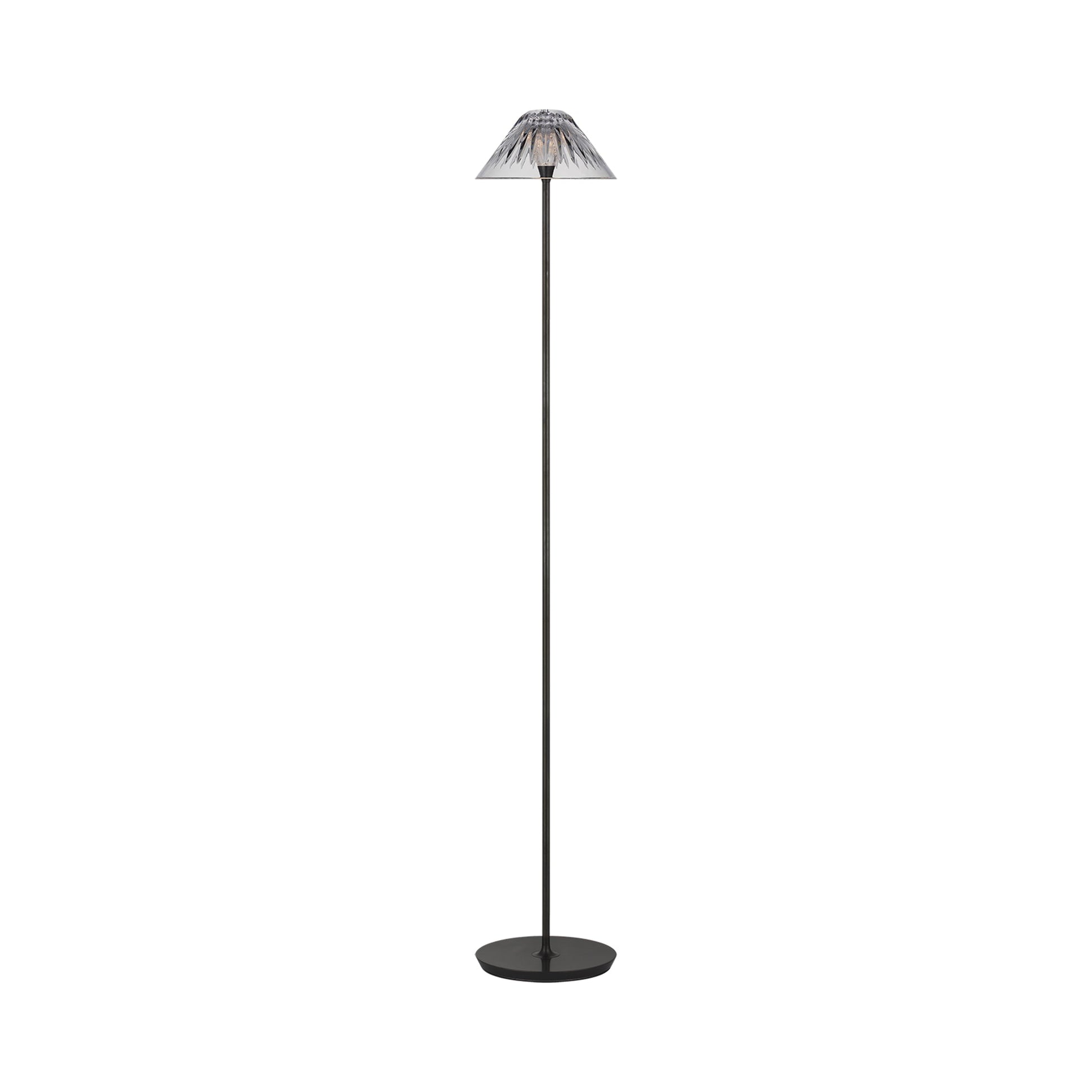 Blaze LED Floor Lamp in Bronze.