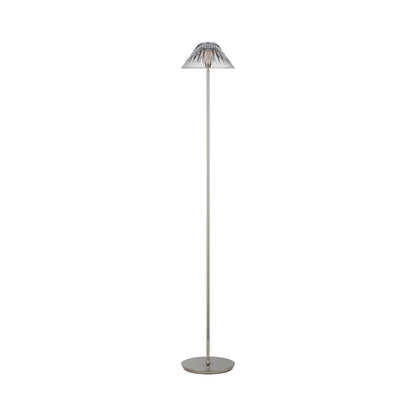 Blaze LED Floor Lamp in Polished Nickel.