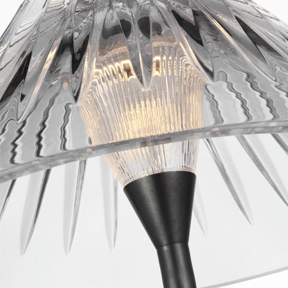 Blaze LED Floor Lamp in Detail.