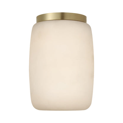 Formosa Elongated LED Flush Mount Ceiling Light.