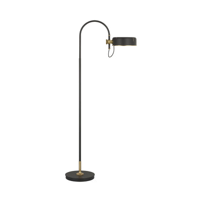 Oso LED Floor Lamp in Modern Iron and Hand-Rubbed Antique Brass/Modern Iron.