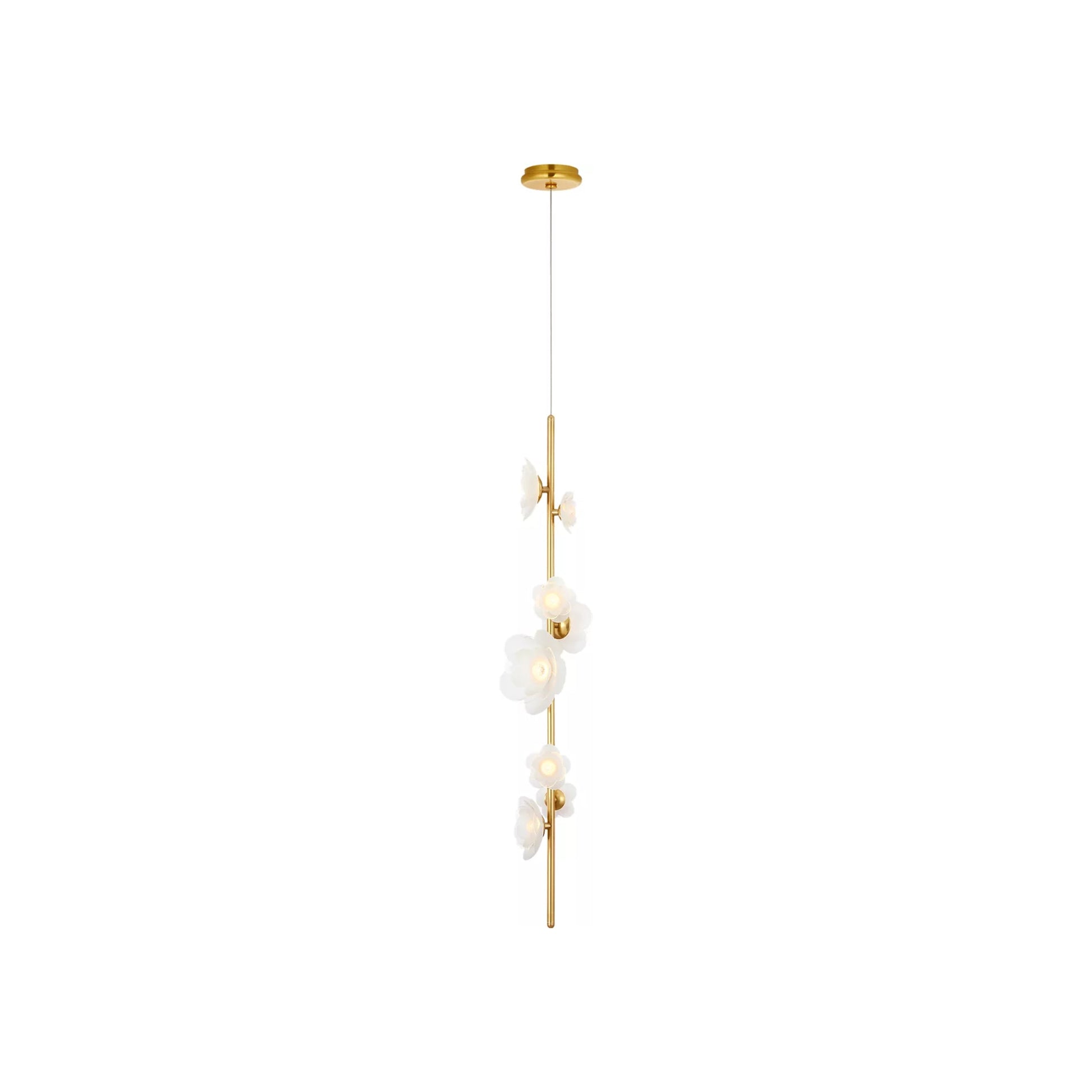 Petaluma LED Pendant Light in Soft Lacquered Brass (40.5-Inch).