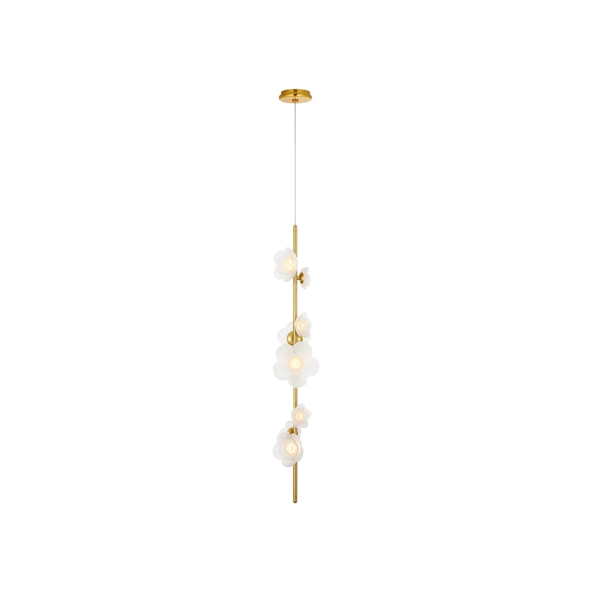Petaluma LED Pendant Light.