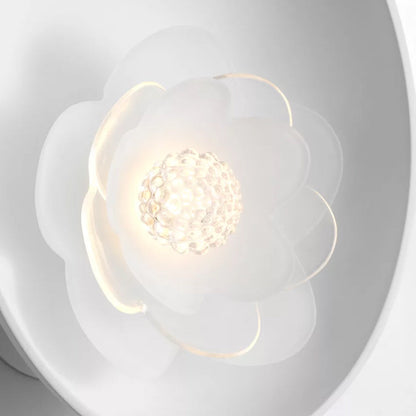 Petaluma LED Wall Light in Detail.