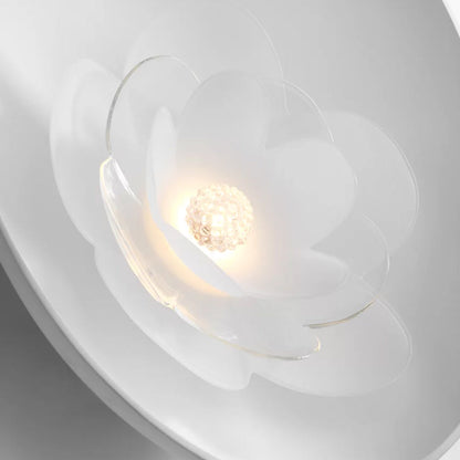 Petaluma LED Wall Light in Detail.