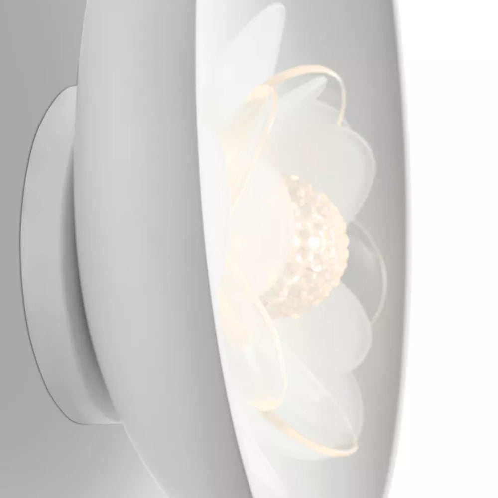 Petaluma LED Wall Light in Detail.