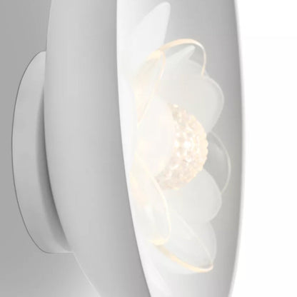 Petaluma LED Wall Light in Detail.