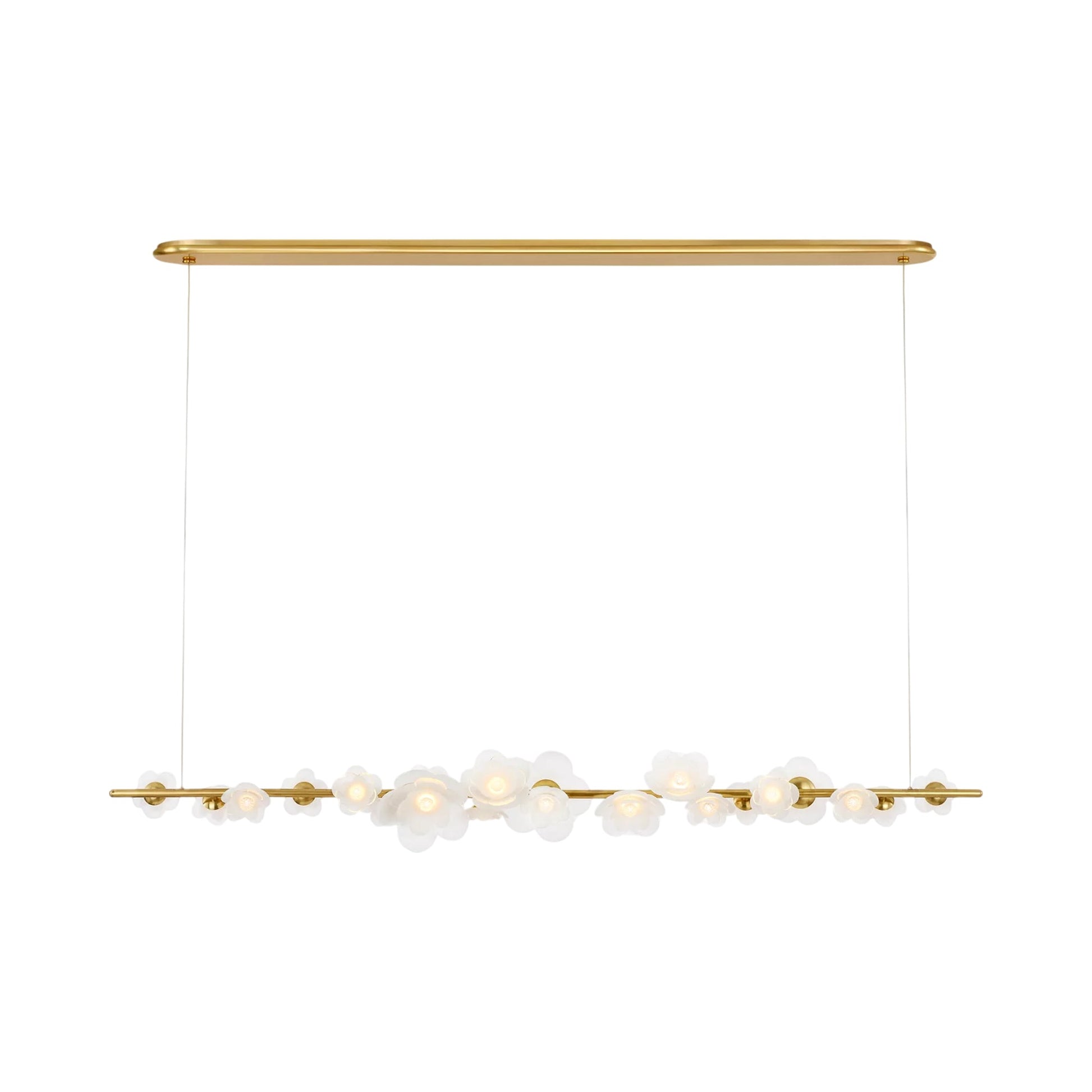 Petaluma Linear LED Chandelier.