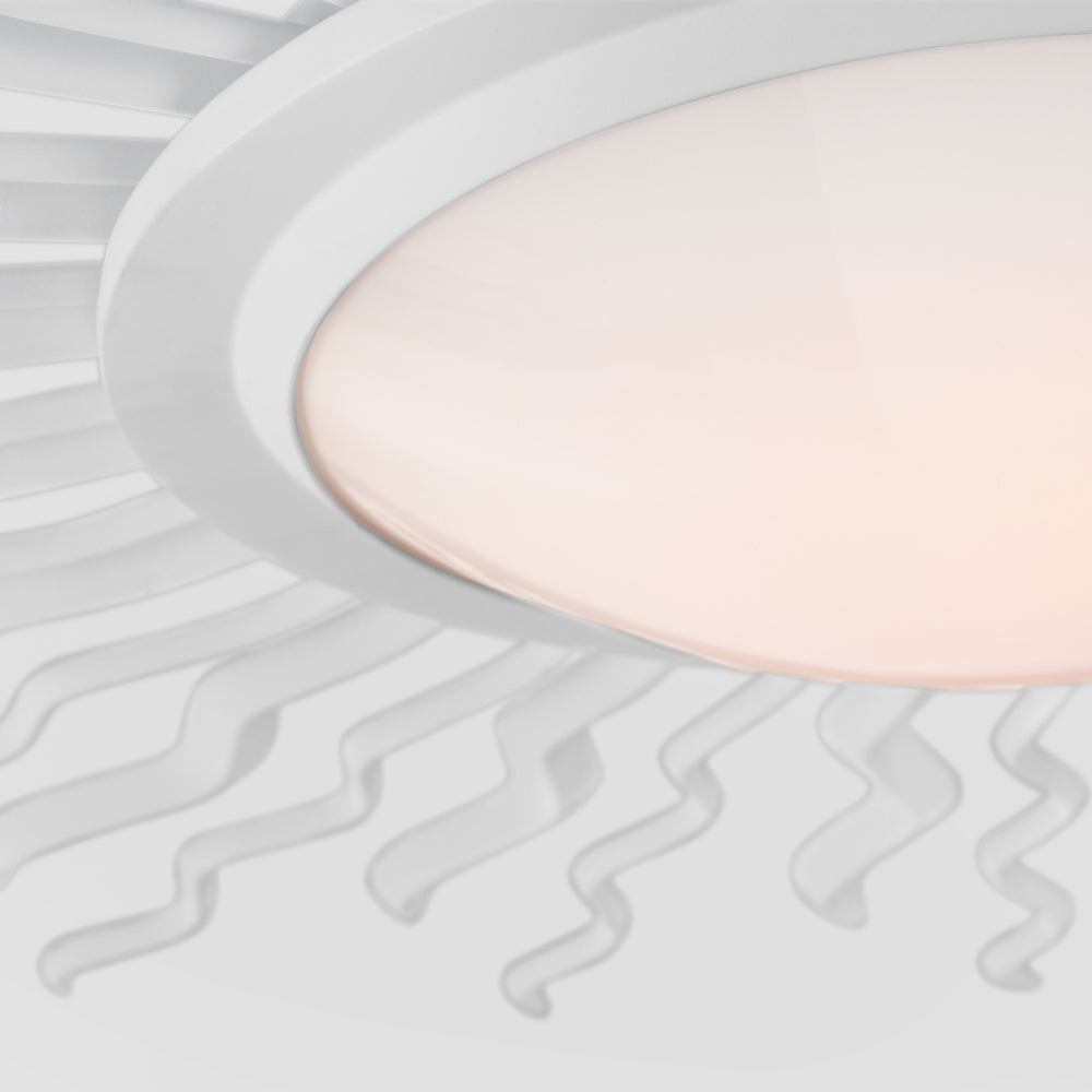 Re LED Semi Flush Mount Ceiling Light in Detail.