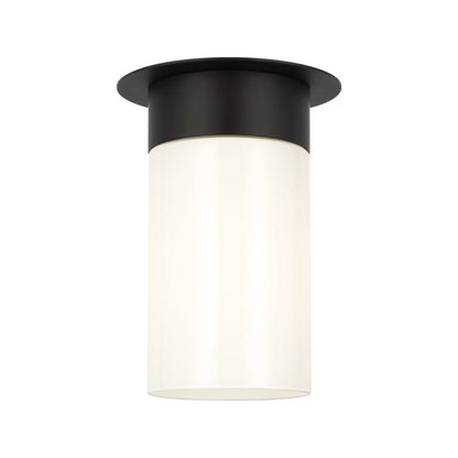 Archer Flush Mount Ceiling Light in Midnight Black (4-Inch).