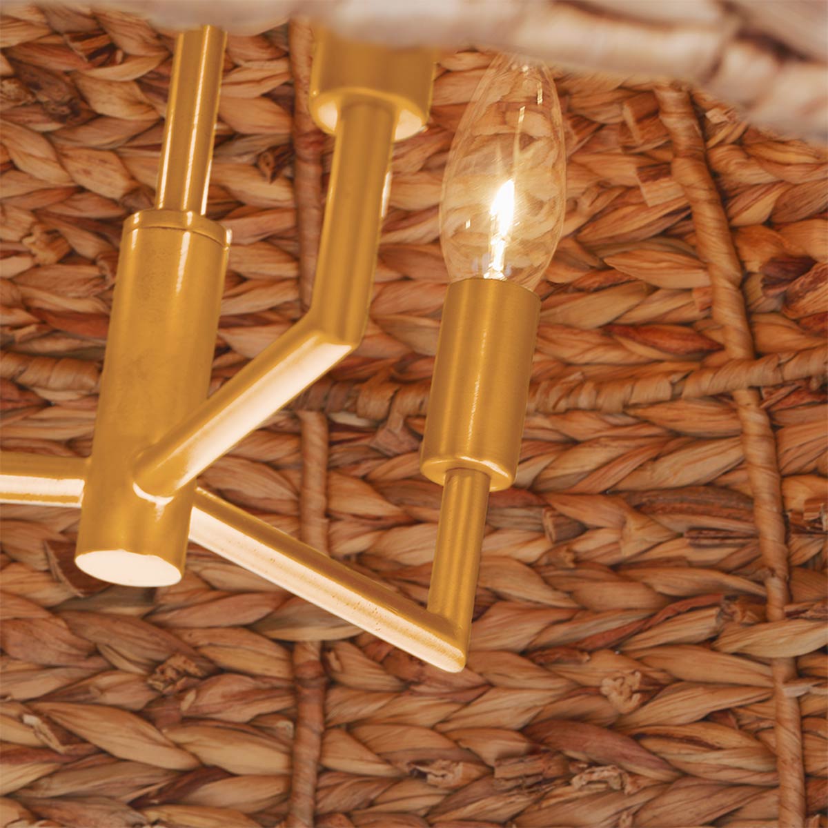 Cay Pendant Light in Detail.