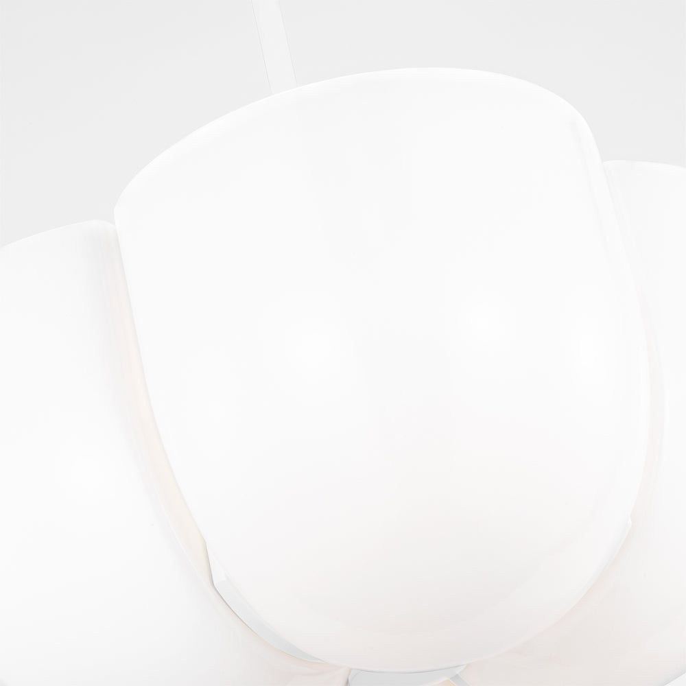 Cheverny Pendant Light in Detail.