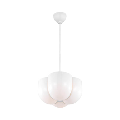 Cheverny Pendant Light in Detail.