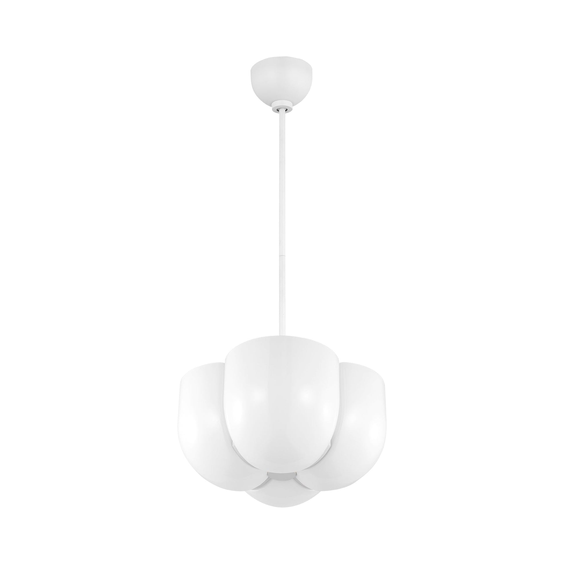 Cheverny Pendant Light in Detail.