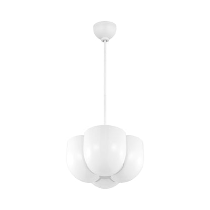 Cheverny Pendant Light in Detail.