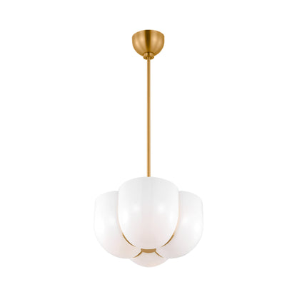 Cheverny Pendant Light in Detail.