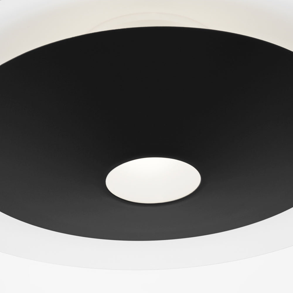 Echo Pendant Light in Detail.