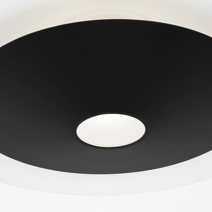 Echo Pendant Light in Detail.