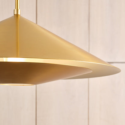 Echo Pendant Light in Detail.