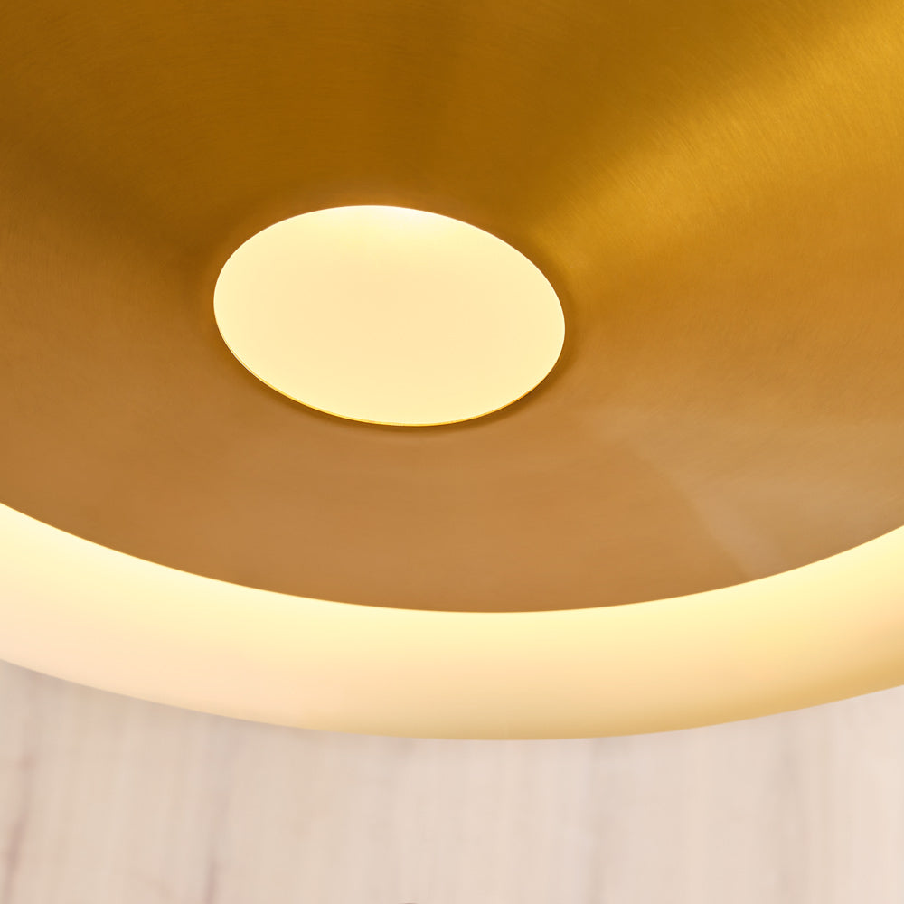 Echo Pendant Light in Detail.