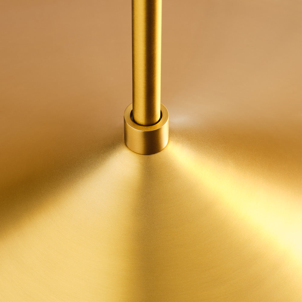 Echo Pendant Light in Detail.