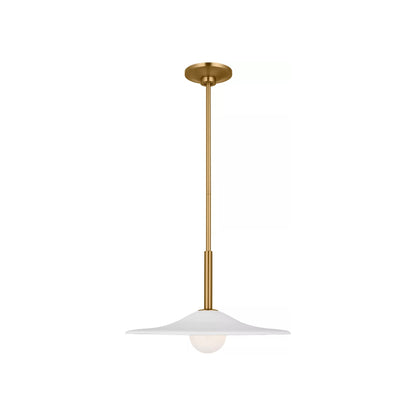 Endicott Pendant Light (16-Inch).
