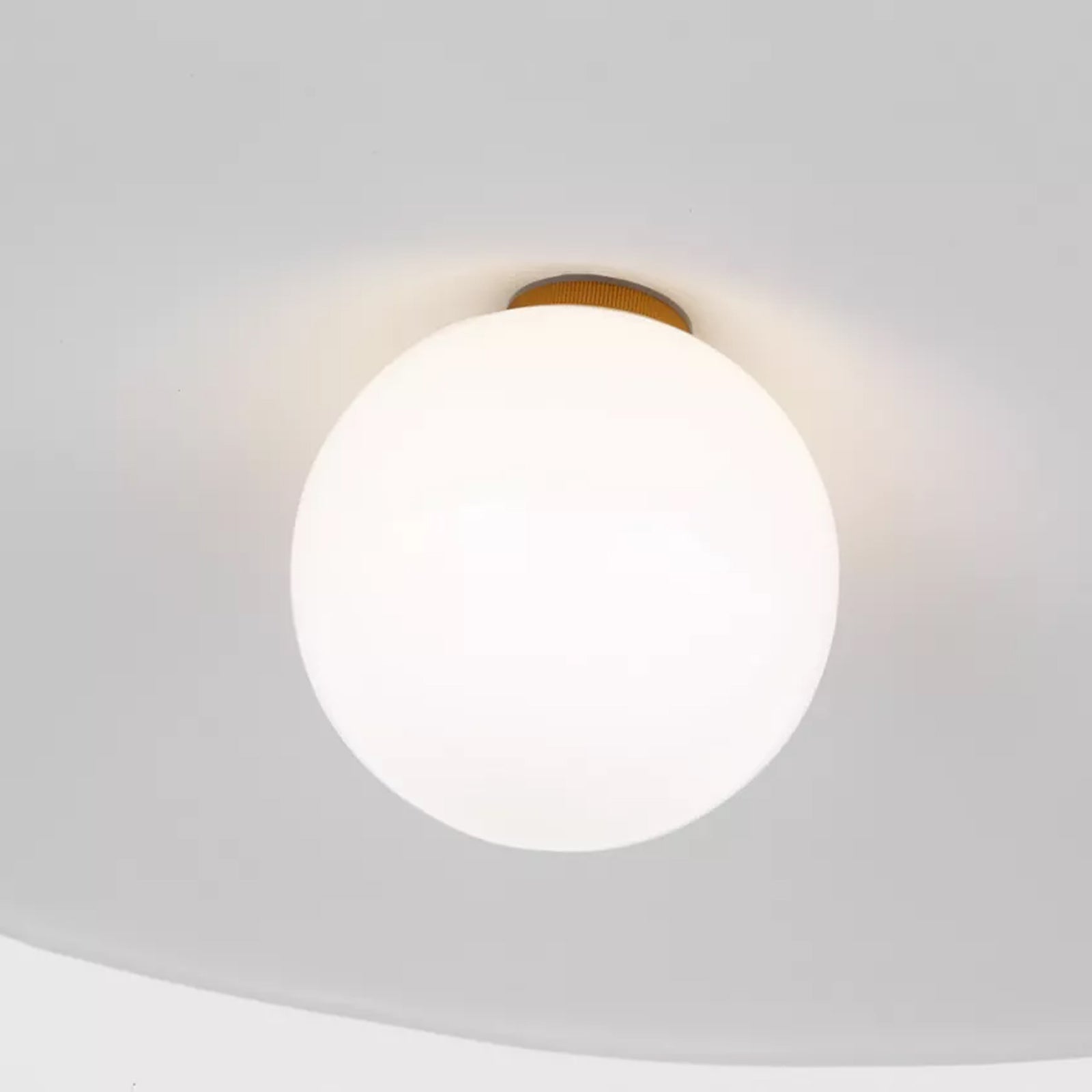 Endicott Pendant Light in Detail.