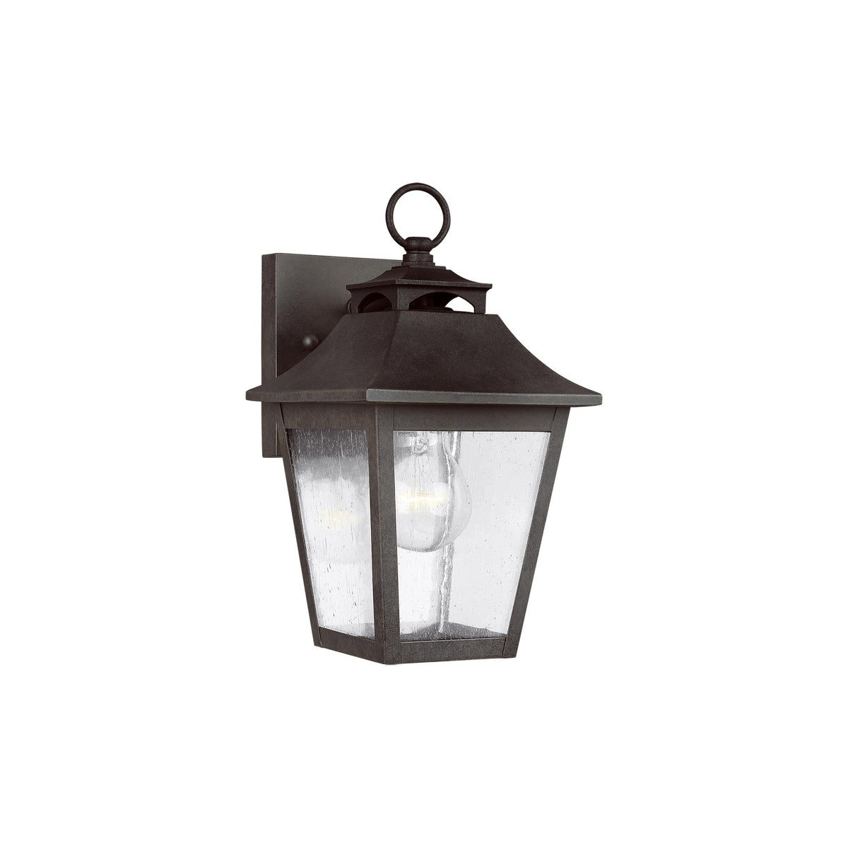 Galena Outdoor Wall Light in Sable (10.88-Inch.).