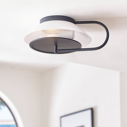 Gesture Ceiling / Wall Light in Detail.