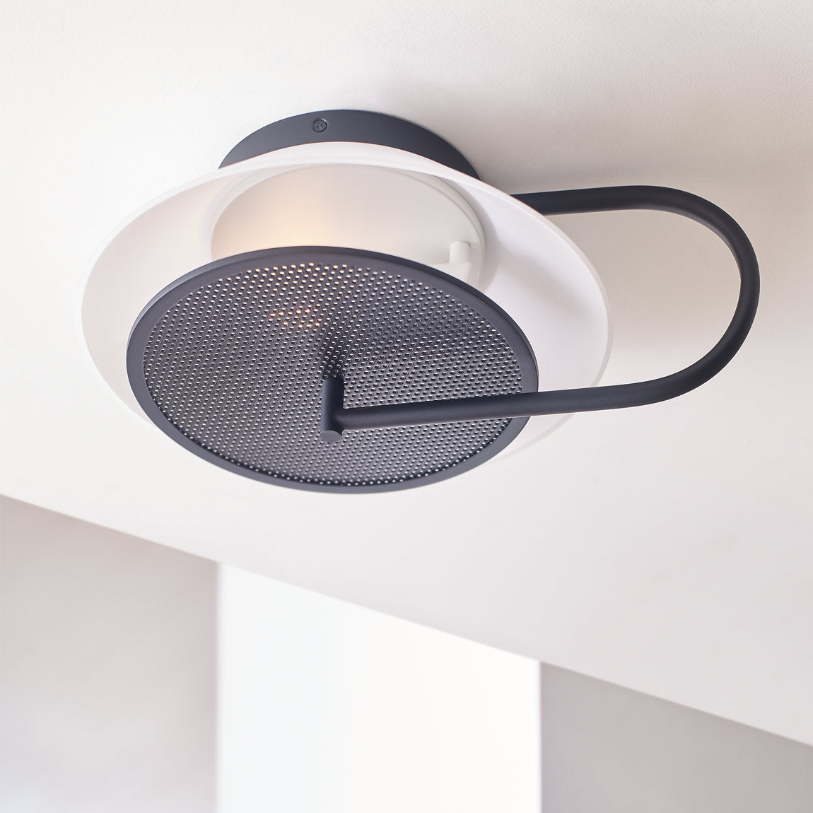 Gesture Ceiling / Wall Light in Detail.