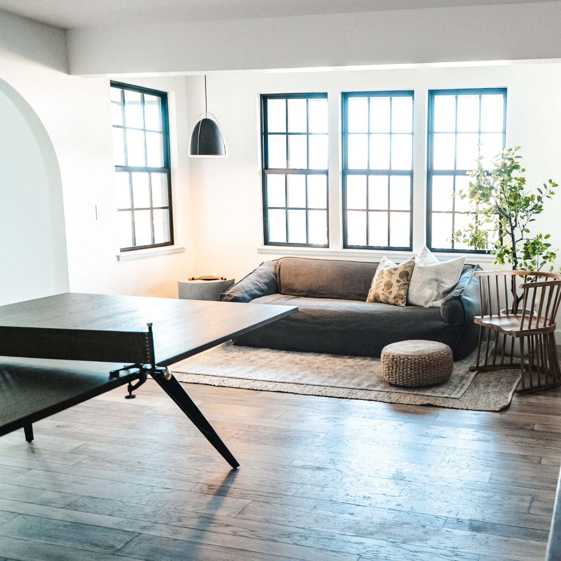 Norman Pendant Light in living room.