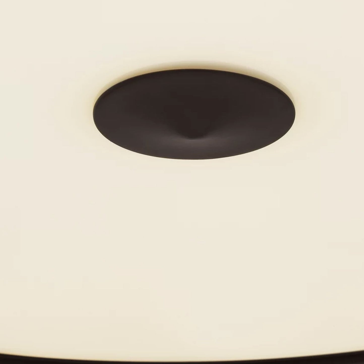 Solene Pendant Light in Detail.