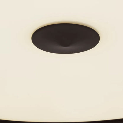 Solene Pendant Light in Detail.