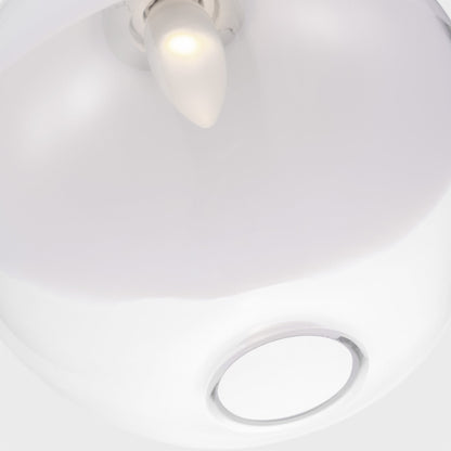 Torian Pendant Light in Detail.